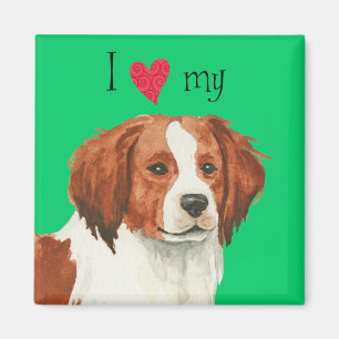 I Love my Kooikerhondje Magnet