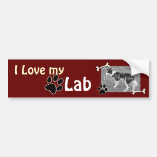 I love my Lab Bumper Sticker