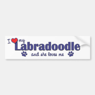 I Love My Labradoodle (Female Dog) Bumper Sticker