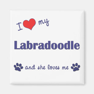 I Love My Labradoodle (Female Dog) Magnet