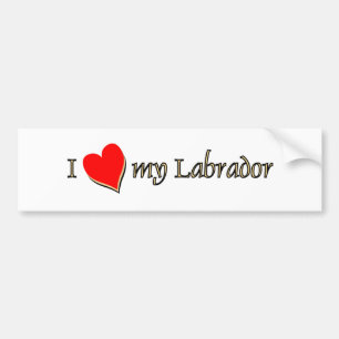 I Love my Labrador Bumper Sticker