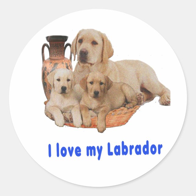 I Love my Labrador Classic Round Sticker (Front)