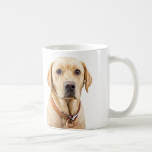 I love my labrador coffee mug