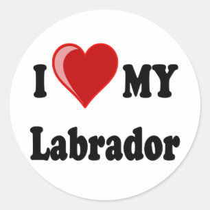 I Love My Labrador Dog Classic Round Sticker