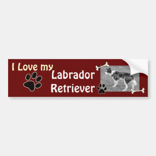 I love my Labrador Retriever Bumper Sticker