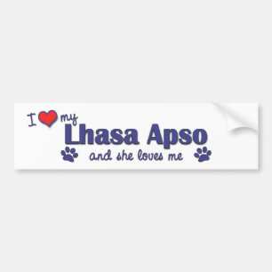 I Love My Lhasa Apso (Female Dog) Bumper Sticker