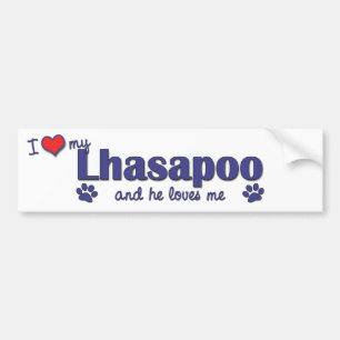 I Love My Lhasapoo (Male Dog) Bumper Sticker