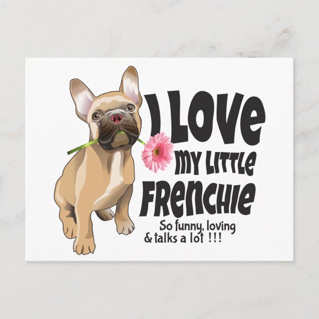 I love my little Frenchie - French bulldog Postcard (Front)