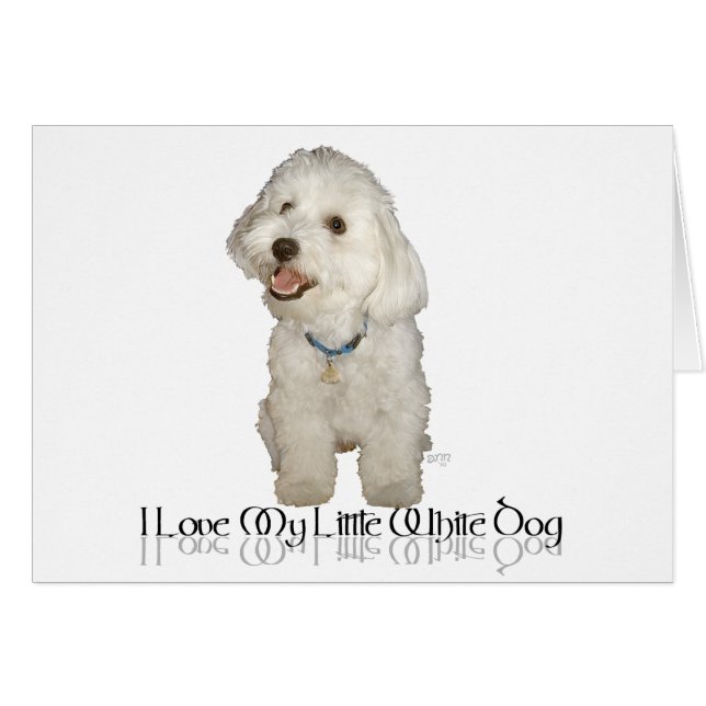 I Love My Little White Dog - Havanese (Front Horizontal)