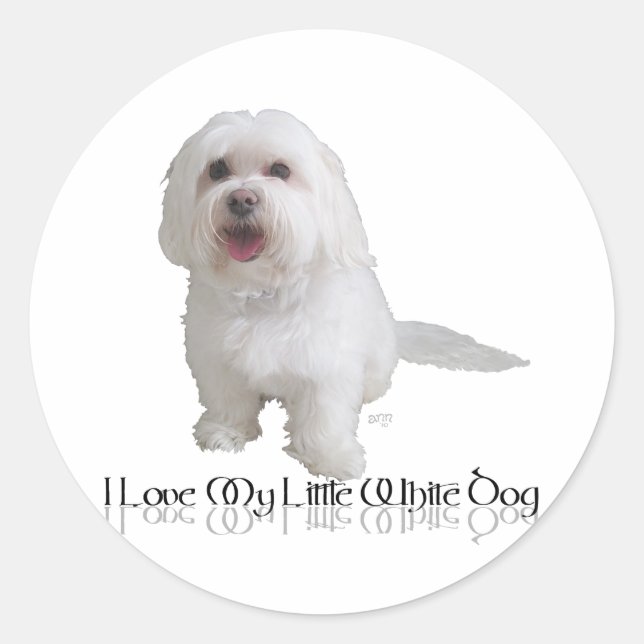 I Love My Little White Dog - Havanese Classic Round Sticker (Front)