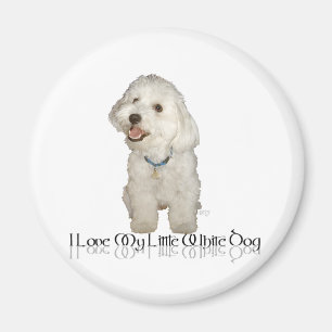 I Love My Little White Dog - Havanese Magnet