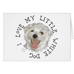 I Love My Little White Dog Maltese