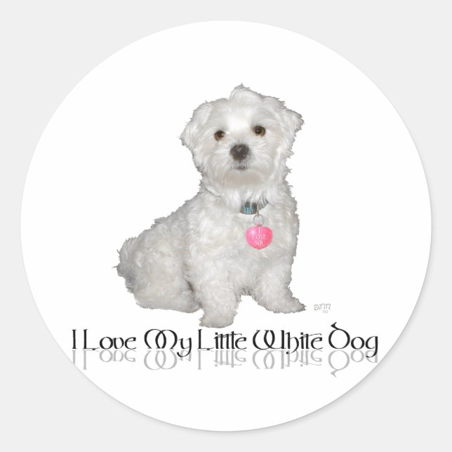 I Love My Little White Dog - Maltese ! Classic Round Sticker (Front)