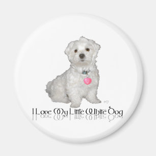 I Love My Little White Dog - Maltese ! Magnet