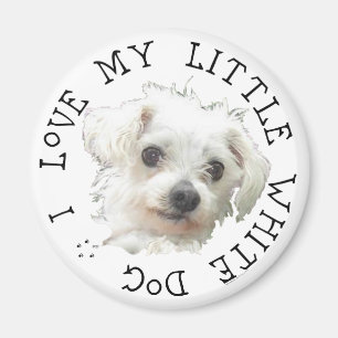 I Love My Little White Dog - Maltese Magnet