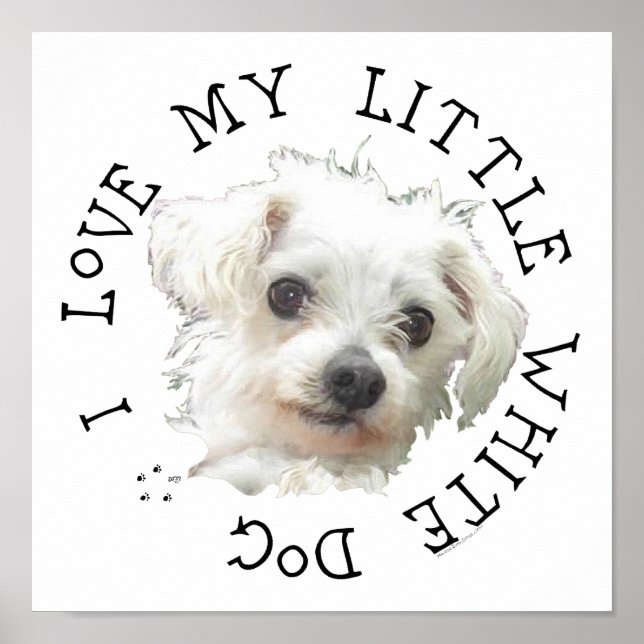 I Love My Little White Dog - Maltese Poster (Front)