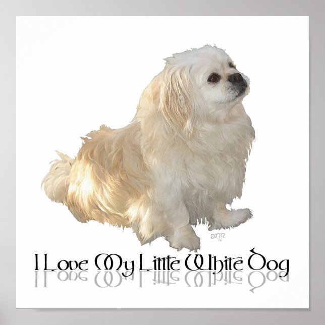 I Love My Little White Dog - Pekingese ! Poster (Front)