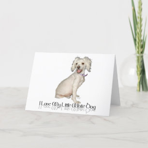 I Love My Little White Dog - Poodle / Bichon Mix Card