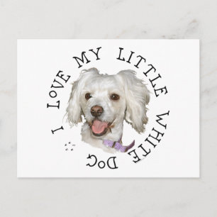 I Love My Little White Dog Poodle / Bichon Mix Postcard