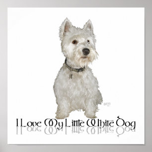 I Love My Little White Dog - Westie Poster