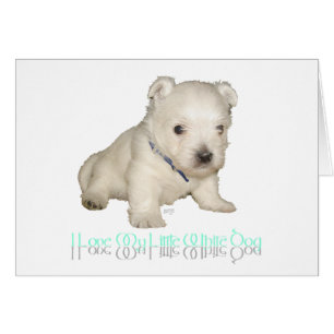 I Love My Little White Dog - Westie Puppy