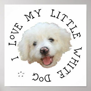 I Love My Little White Rescue Dog Poster