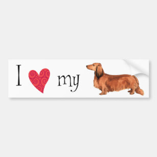 I Love my Longhaired Dachshund Bumper Sticker