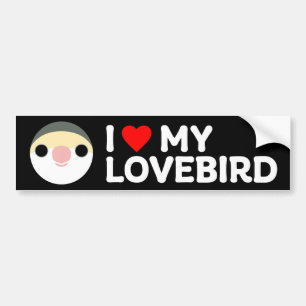 I LOVE MY LOVEBIRD – Peach-faced (white-faced mauv Bumper Sticker