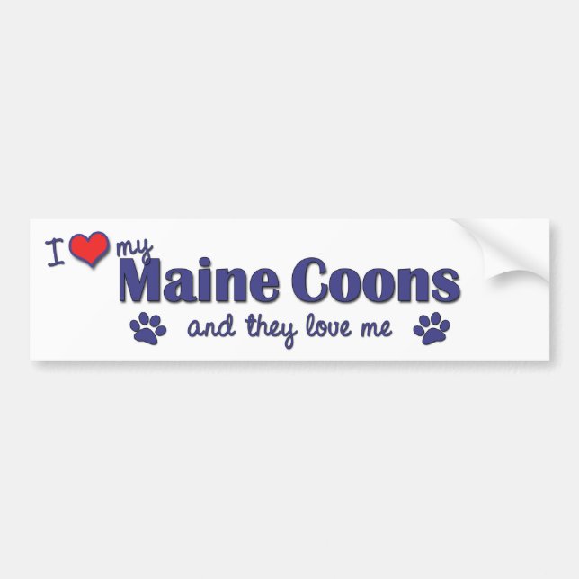 I Love My Maine Coons (Multiple Cats) Bumper Sticker (Front)