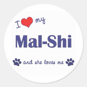 I Love My Mal-Shi (Female Dog) Classic Round Sticker