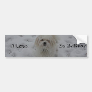 I Love, My Maltese Bumper Sticker