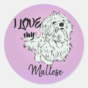 I Love my Maltese Classic Round Sticker