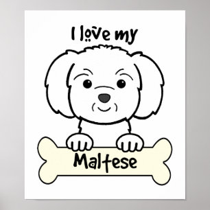 I Love My Maltese Poster