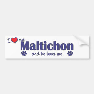 I Love My Maltichon (Male Dog) Bumper Sticker