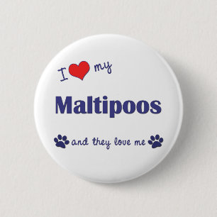 I Love My Maltipoos (Multiple Dogs) 6 Cm Round Badge
