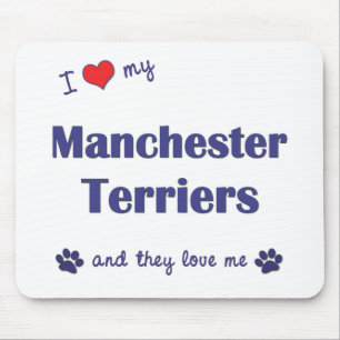 I Love My Manchester Terriers (Multiple Dogs) Mouse Pad