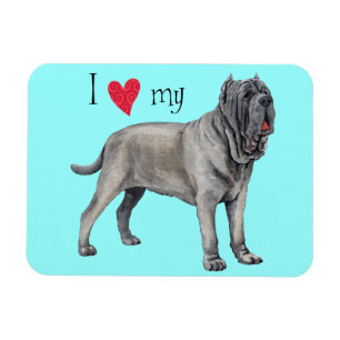 I Love my Mastino Magnet