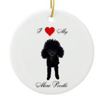 I love my Mini-poodle standard