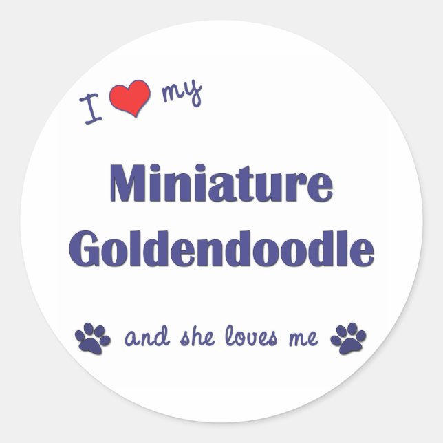 I Love My Miniature Goldendoodle (Female Dog) Classic Round Sticker (Front)
