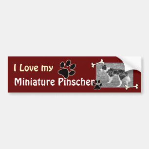 I love my Miniature Pinscher Bumper Sticker