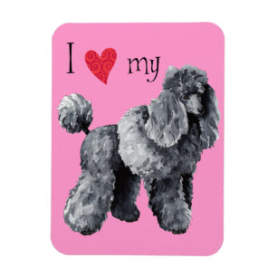 I Love my Miniature Poodle Magnet