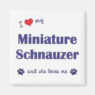 I Love My Miniature Schnauzer (Female Dog) Magnet