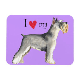I Love my Miniature Schnauzer Magnet