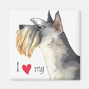 I Love my Miniature Schnauzer Magnet