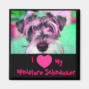 I Love My Miniature Schnauzer Magnet