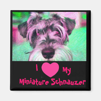 I Love My Miniature Schnauzer Magnet