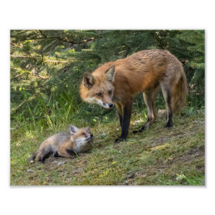 I Love My Mom Photo Print