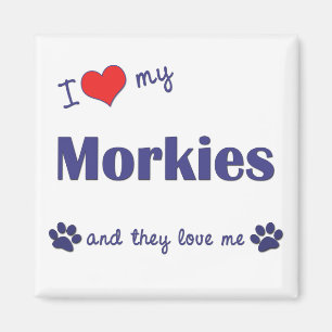 I Love My Morkies (Multiple Dogs) Magnet