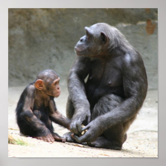 I love my mum poster