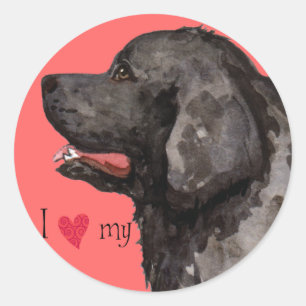 I Love my Newfoundland Classic Round Sticker